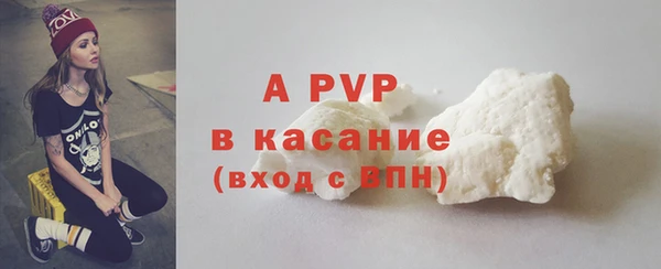 стафф Киреевск
