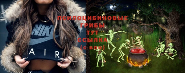 стафф Киреевск