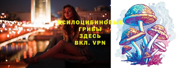 стафф Киреевск