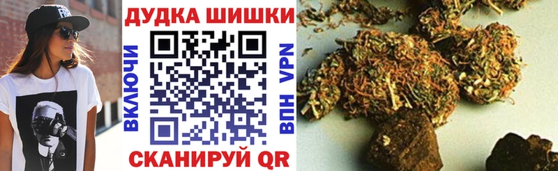 Каннабис OG Kush Пионерский